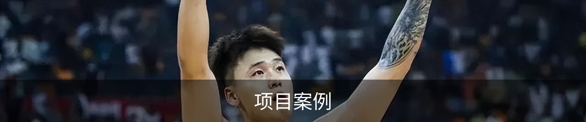 项目案例